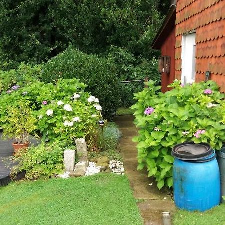 Ferienwohnung Im Waldwinkel Stadthagen Kültér fotó